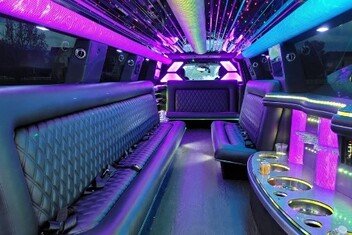 Lake Charles Limo Interior